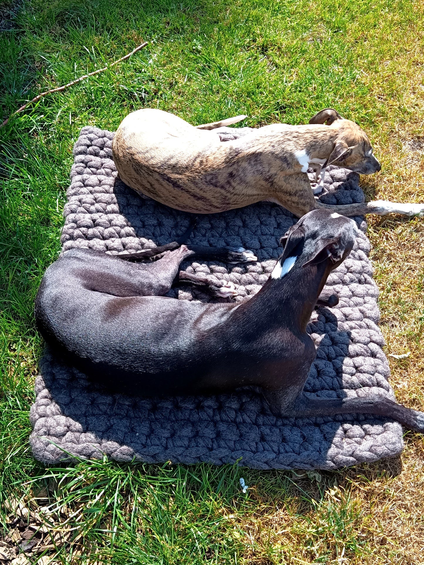 Felted dog mat made from virgin sheep's wool, carrying strap included