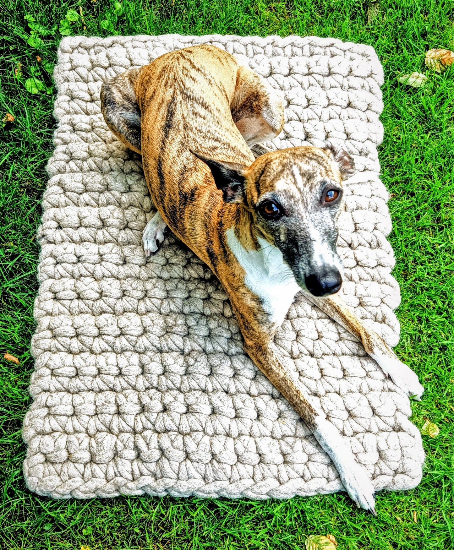 Felted dog mat made of sheep's wool, including carrying strap