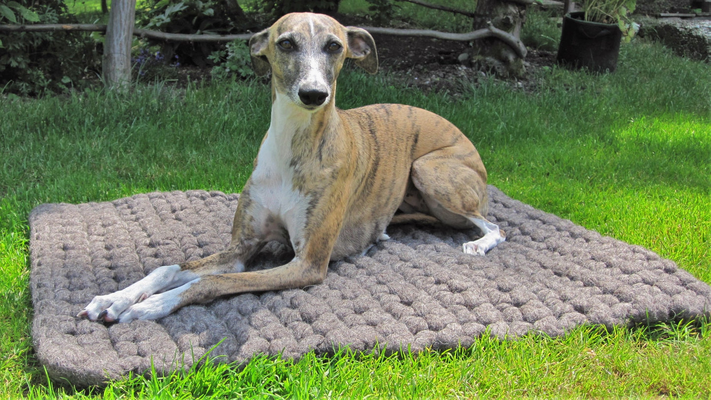 Felted dog mat made from virgin sheep's wool, carrying strap included