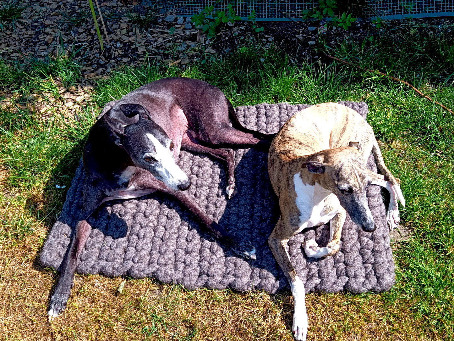 Felted dog mat made from virgin sheep's wool, carrying strap included