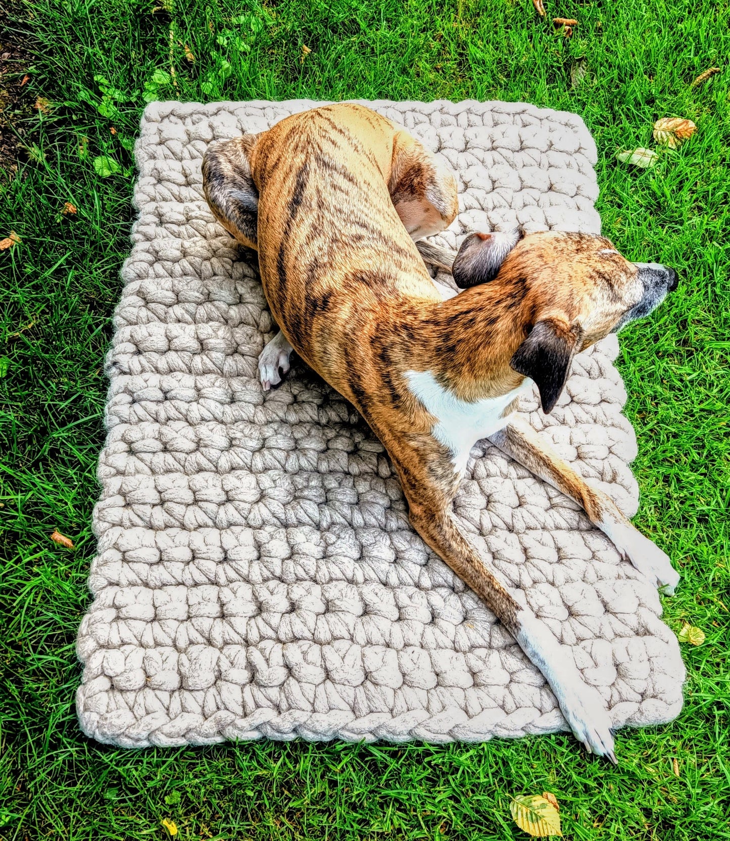 Felted dog mat made of sheep's wool, including carrying strap